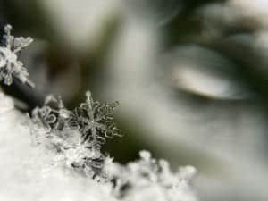 snowflake photo for the effects of winter on personal injury blog